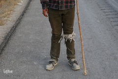 پیاده‌روی زائران رضوی