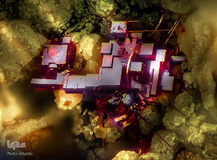 برگزیدگان مسابقه عکاسی از دنیای کوچک 2019