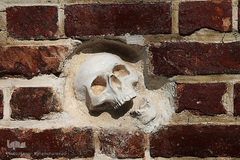 مراسم رونمایی از دیوارنگاره‌های جدید لانه جاسوسی آمریکا