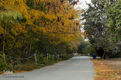 پاییز تهران