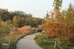 پاییز تهران