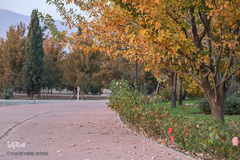 پاییز تهران