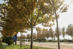 پاییز تهران