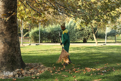 پاییز تهران