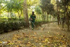 پاییز تهران