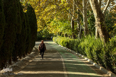 پاییز تهران