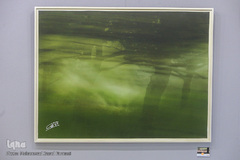 نمایشگاه عکس تمنای بهشت