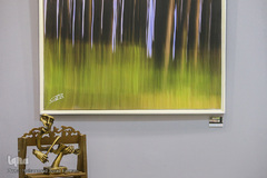 نمایشگاه عکس تمنای بهشت