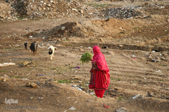 منطقه محروم کوره پزخانه‌های اسلام آباد نظامی شهرری