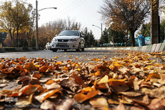 جلوه‌های پاییز