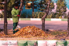 جلوه‌های پاییز