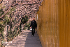 جلوه‌های پاییز