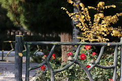 جلوه‌های پاییز