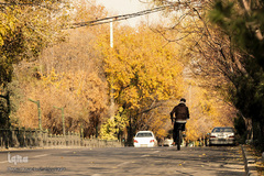 جلوه‌های پاییز