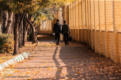 جلوه‌های پاییز