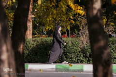 جلوه‌های پاییز