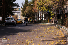 جلوه‌های پاییز