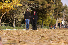 جلوه‌های پاییز