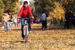 جلوه‌های پاییز