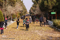 جلوه‌های پاییز