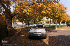 جلوه‌های پاییز