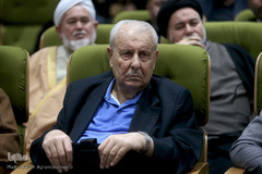 صلاح الزواوی، سفیر فلسطین 