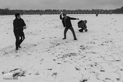 نصف جهان سفیدپوش شد