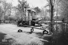 نصف جهان سفیدپوش شد