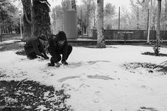 نصف جهان سفیدپوش شد