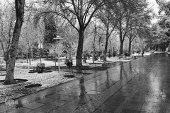 نصف جهان سفیدپوش شد