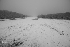 نصف جهان سفیدپوش شد