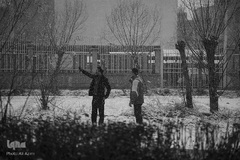 نصف جهان سفیدپوش شد