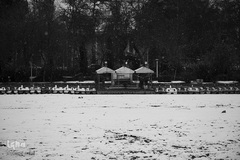 نصف جهان سفیدپوش شد