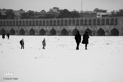 نصف جهان سفیدپوش شد