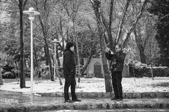 نصف جهان سفیدپوش شد