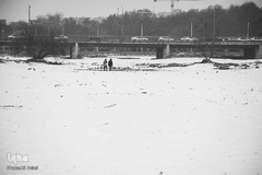 نصف جهان سفیدپوش شد