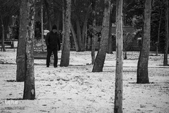 نصف جهان سفیدپوش شد