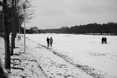 نصف جهان سفیدپوش شد