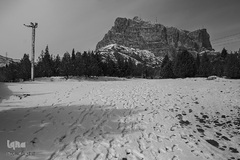 نصف جهان سفیدپوش شد