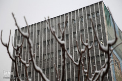 بارش برف زمستانی در تهران