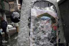 بارش برف زمستانی در تهران