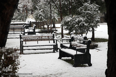 بارش برف زمستانی در تهران