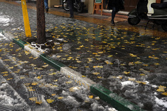 بارش برف زمستانی در تهران