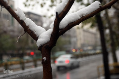 بارش برف زمستانی در تهران
