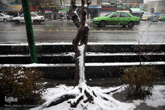 بارش برف زمستانی در تهران