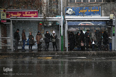 بارش برف زمستانی در تهران