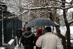بارش برف زمستانی در تهران