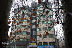 بارش برف زمستانی در تهران