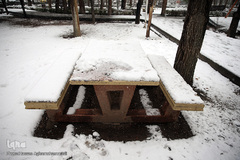 بارش برف زمستانی در تهران