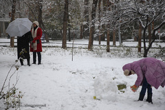 بارش برف زمستانی در تهران